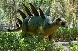 Imagen muestra de la actividad: Dino en los pinos