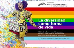 Imagen muestra de la actividad La diversidad como forma de vida