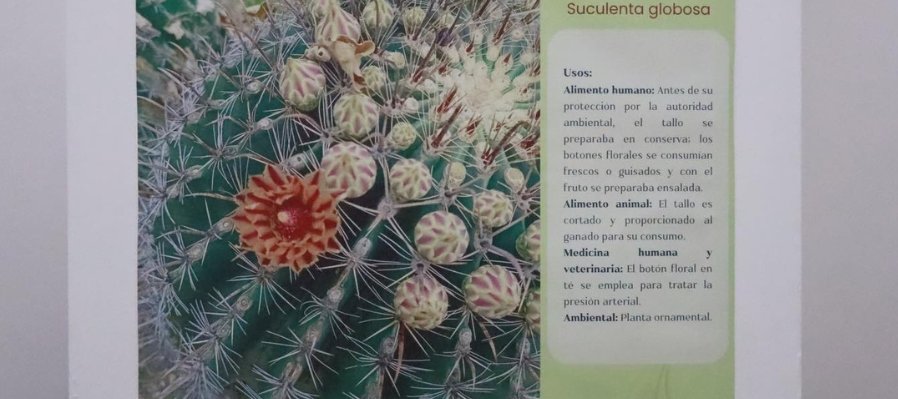 Documentar la naturaleza. Archivos peninsulares de botánica