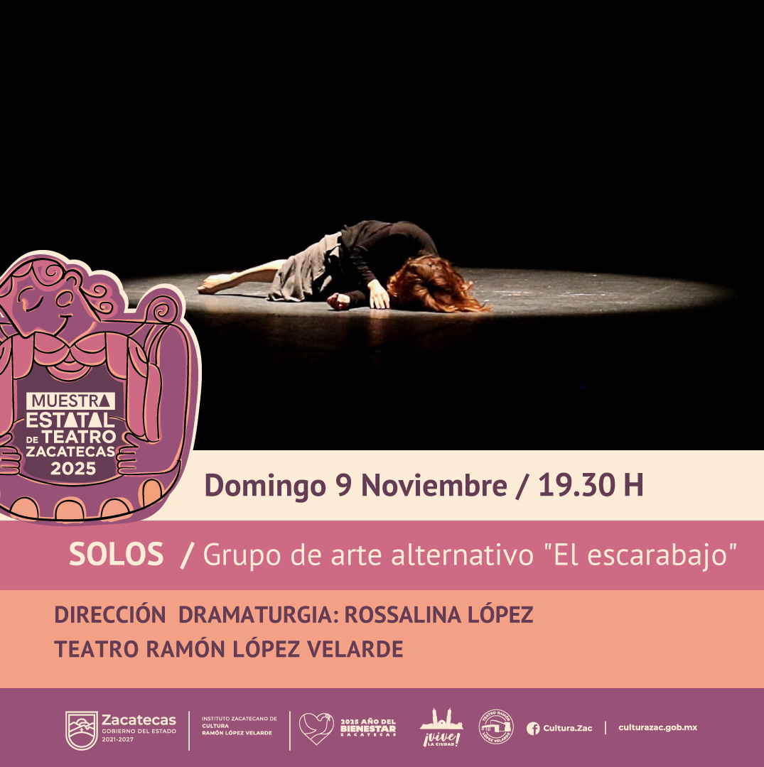 Imagen muestra de la actividad Solos / Grupo de arte alterantivao "El escarabajo"