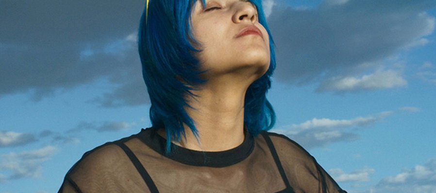 Donde duermen los pájaros