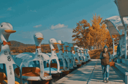 Imagen muestra de la actividad: Duck Town