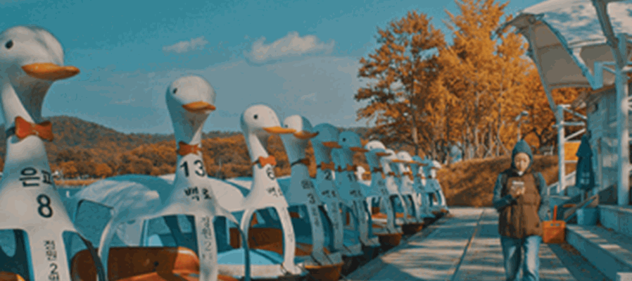 Duck Town