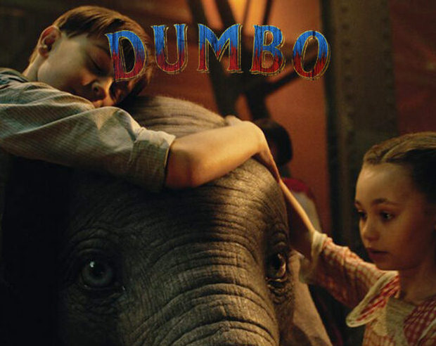 Imagen muestra de la actividad Dumbo