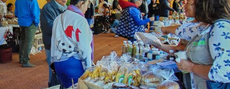 Mercado solar: Michoacan.