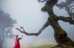 Imagen muestra de la actividad: Apertura de la exposición: EcoGrafías. Ecología + Foto