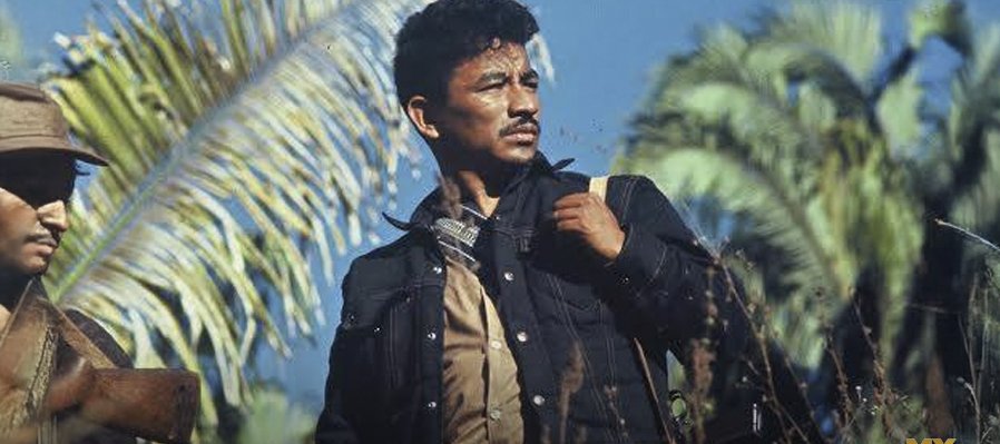 El edén bajo el fusil