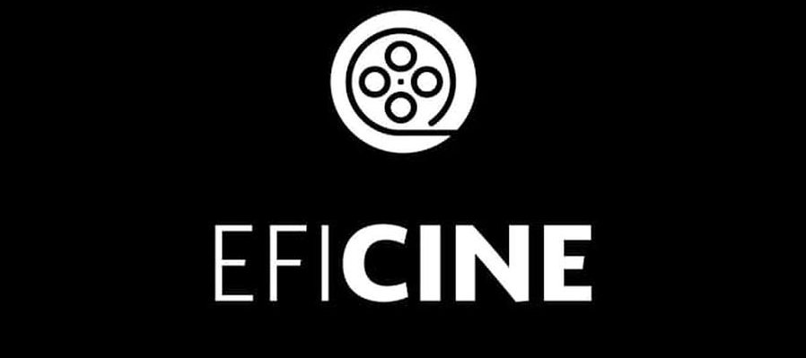 Panel: ¿cómo funciona Eficine?: casos de éxito y fracaso