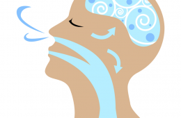 Imagen muestra de la actividad: De la respiración a voz hablada del adulto mayor