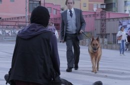 Imagen muestra de la actividad El ladrón de perros