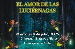 El amor de las luciérnagas