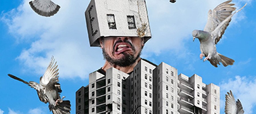 El antipalomas