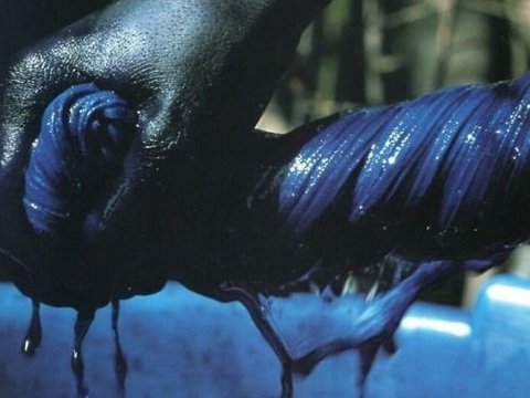 El azul de los Dioses