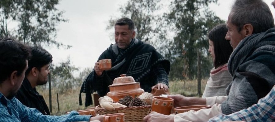 El camino de las bestias