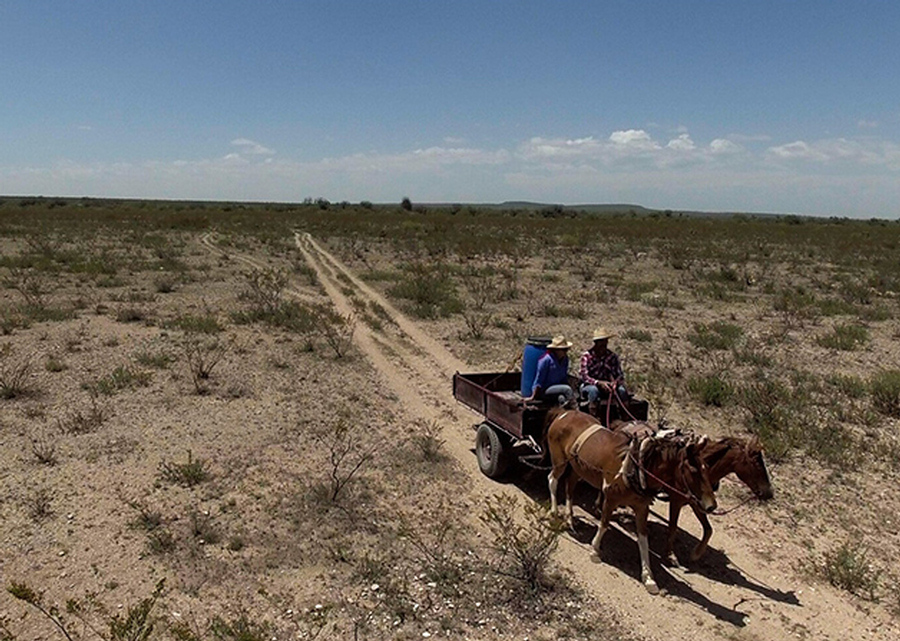 Imagen muestra de la actividad El carretón del desierto