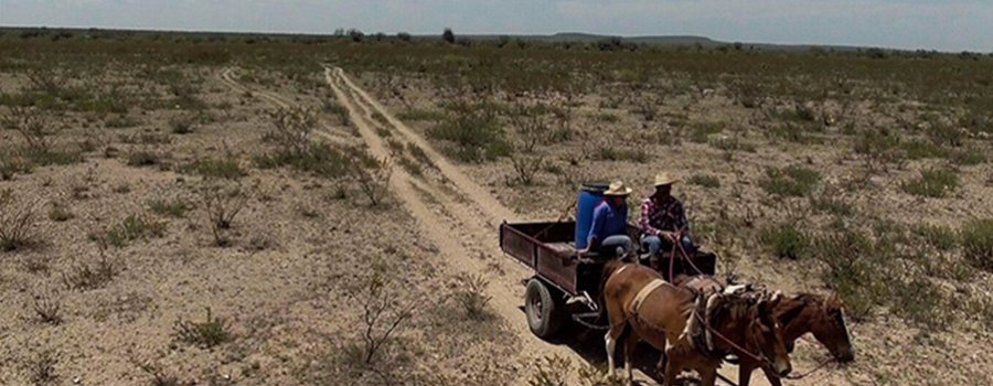 El carretón del desierto