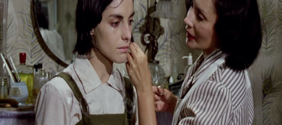 El Castillo de la Pureza