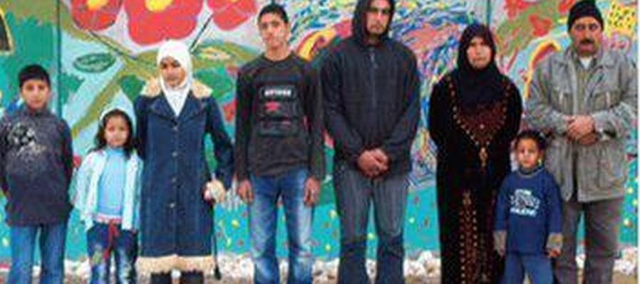 El color de los olivos