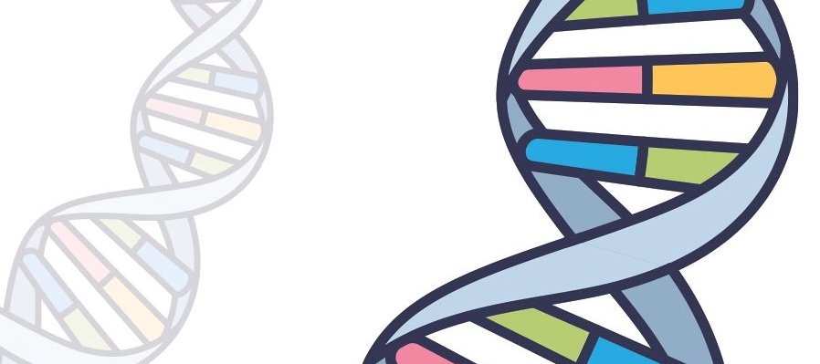 El DNA y sus secretos