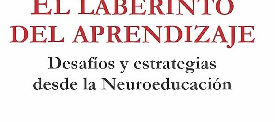 El laberinto del aprendizaje