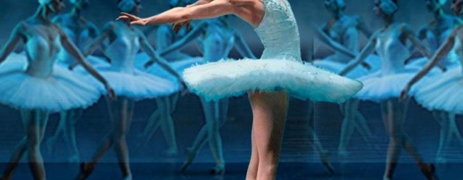 El lago de los cisnes