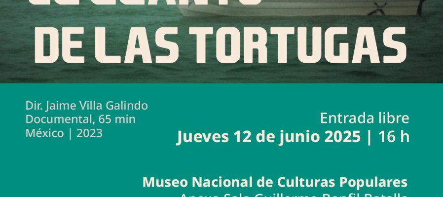 El LLanto de las Tortugas