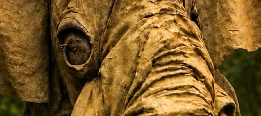 El paso del elefante