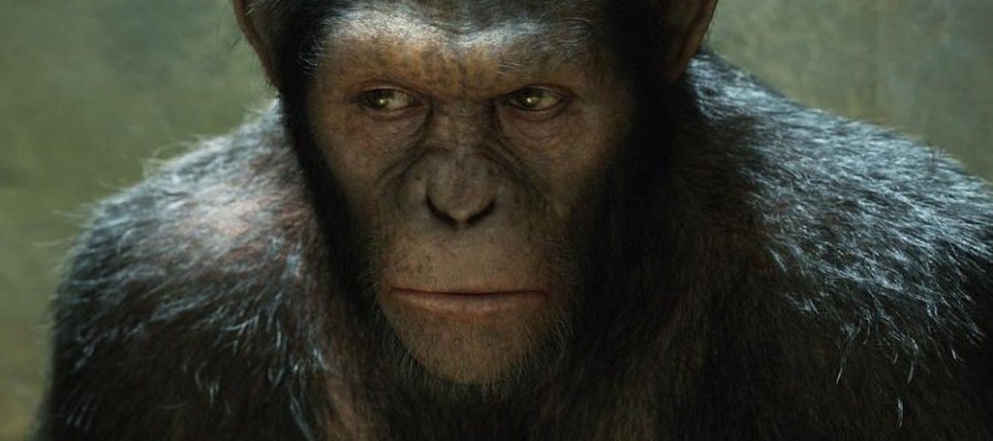 El planeta de los simios: (R) Evolución
