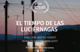 Imagen muestra de la actividad: El tiempo de las Luciérnagas