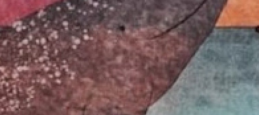 El viaje de la ballena gris