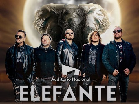 Elefante