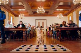 Imagen muestra de la actividad El juicio de un perro