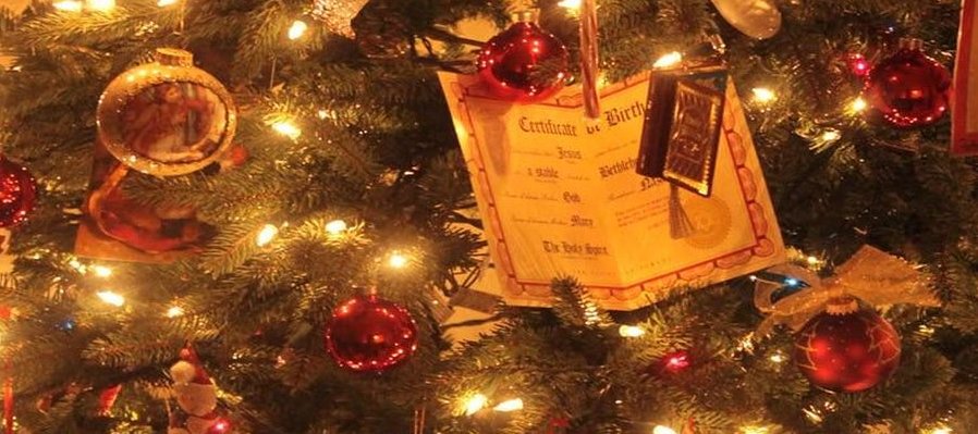 Encendido del árbol de Navidad