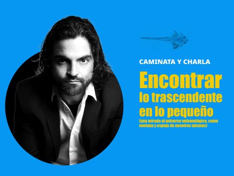 Encontrar  lo trascendente en lo pequeño (una mirada al universo entomológico, como ventana y espejo de nosotros mismos)