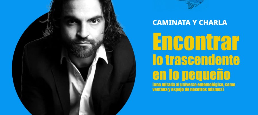 Encontrar  lo trascendente en lo pequeño (una mirada al universo entomológico, como ventana y espejo de nosotros mismos)