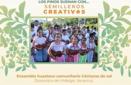 Imagen muestra de la actividad: Ensamble huasteco comunitario Cánteros del sol