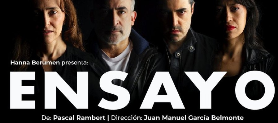 Ensayo