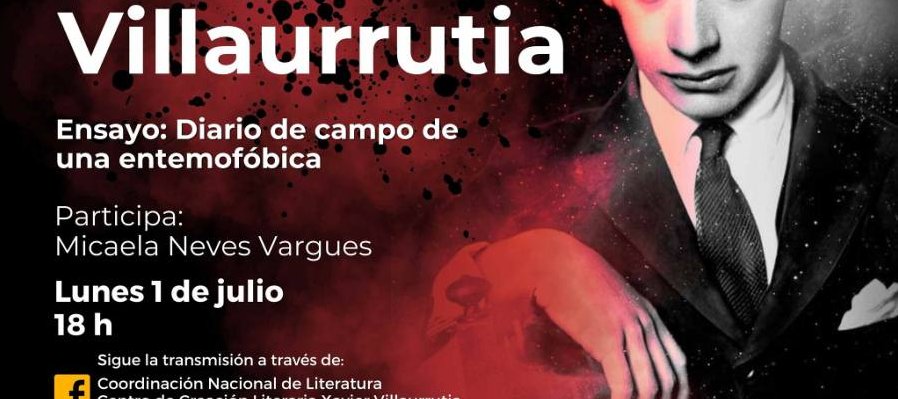 Ensayo: Diario de campo de una entemofóbica