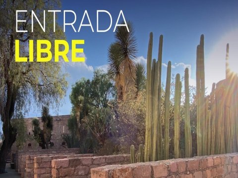Visitas libres
