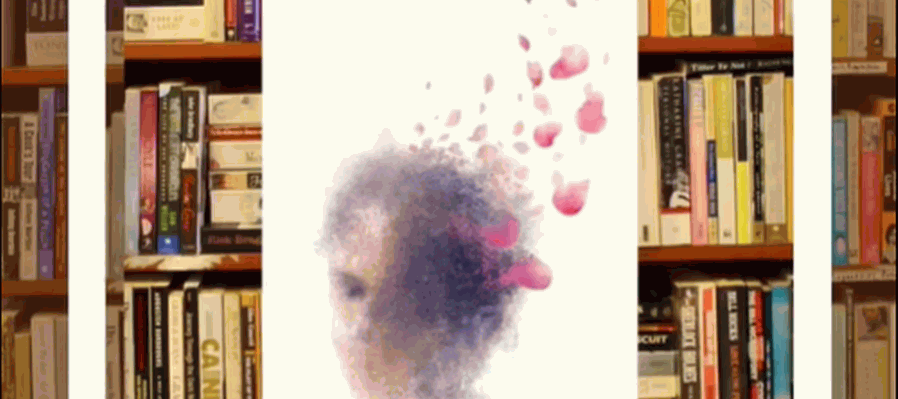 Entre alas y caídas