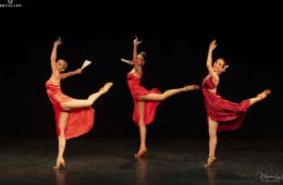 Imagen muestra de la actividad Entretangos y Danzones