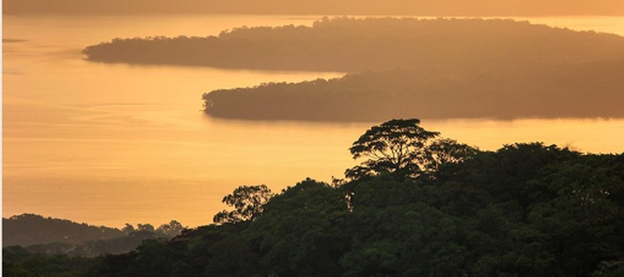 Escalas en el medio ambiente veracruzano