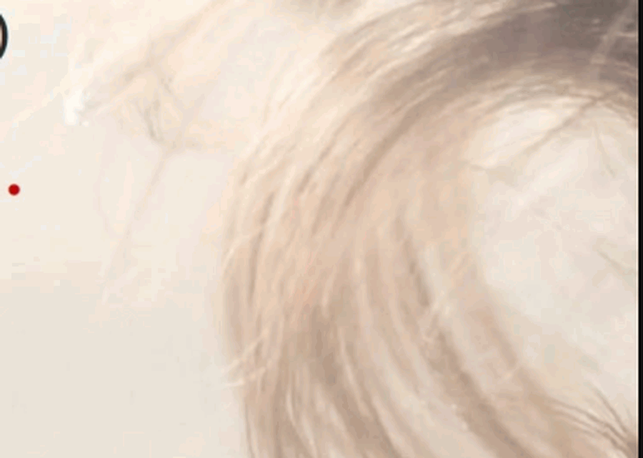 Imagen muestra de la actividad 