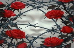 Imagen muestra de la actividad Espinas y rosas