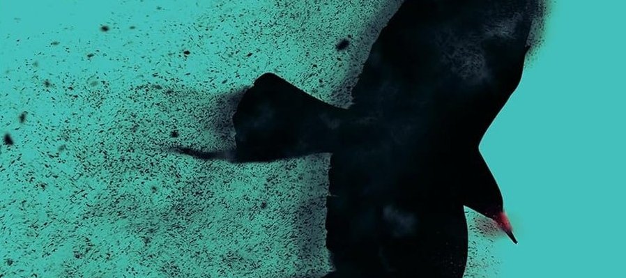 Estás aquí porque nadie te quiso de regreso