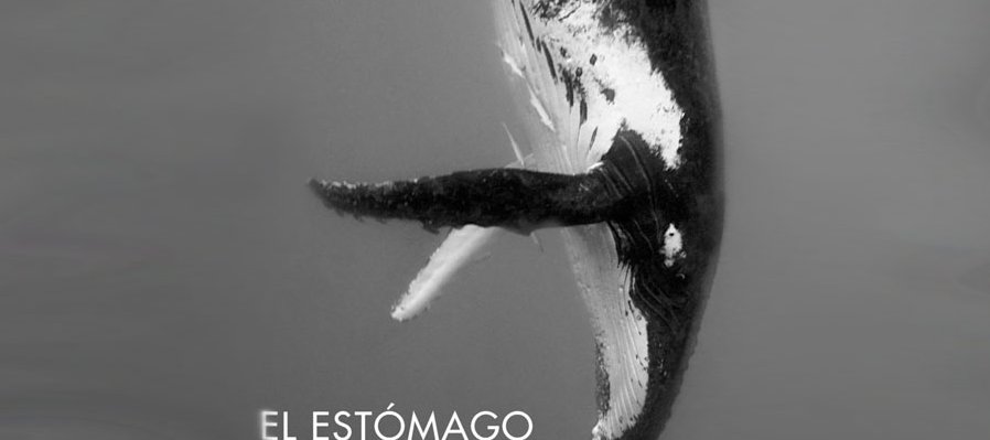 El estómago de la ballena