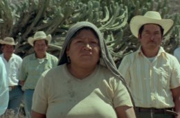 Etnocidio: notas sobre El Mezquital