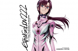 Imagen muestra de la actividad: Evangelion: 2.0