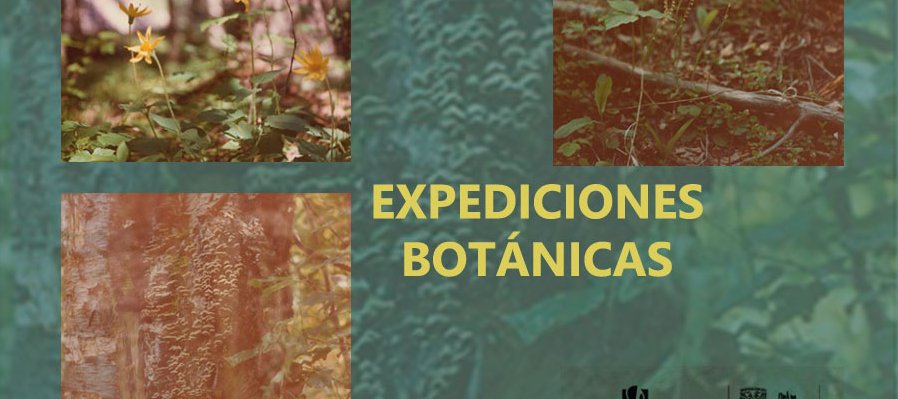 Expediciones botánicas