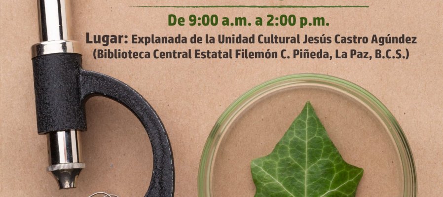 Exploraciencia